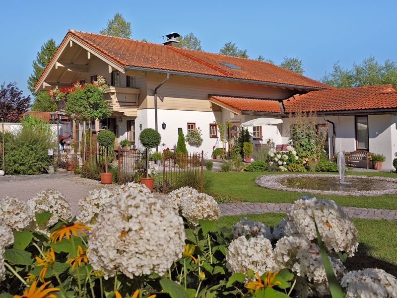 house view in summer