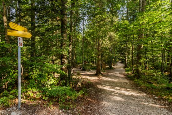 Inzell - Sommer - Natur