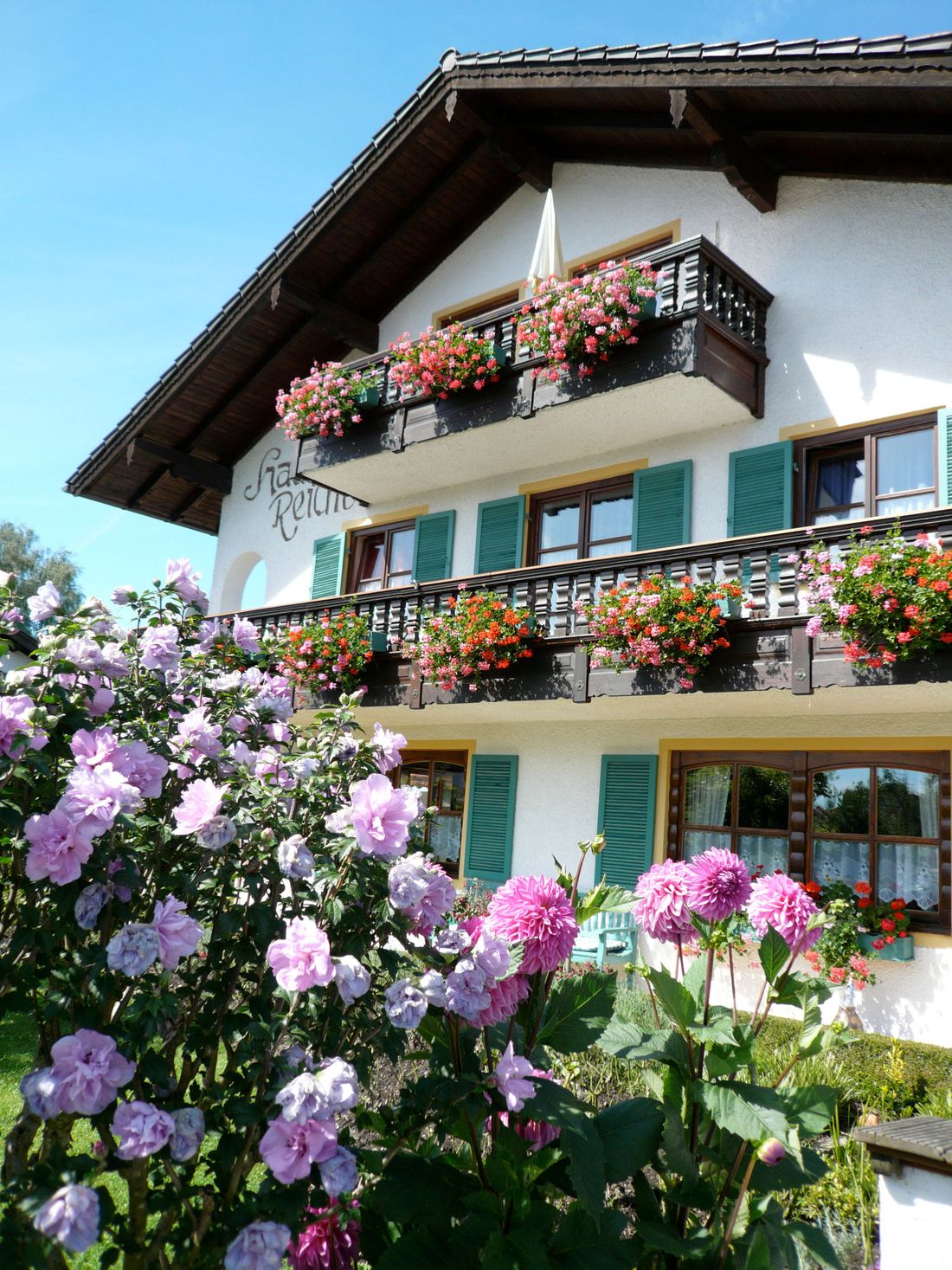 Hausansicht mit Hortensie