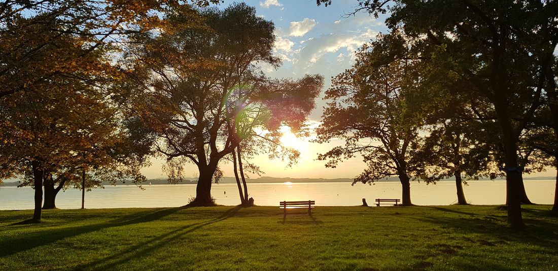 Rundweg mit Abendstimmung am Chiemsee