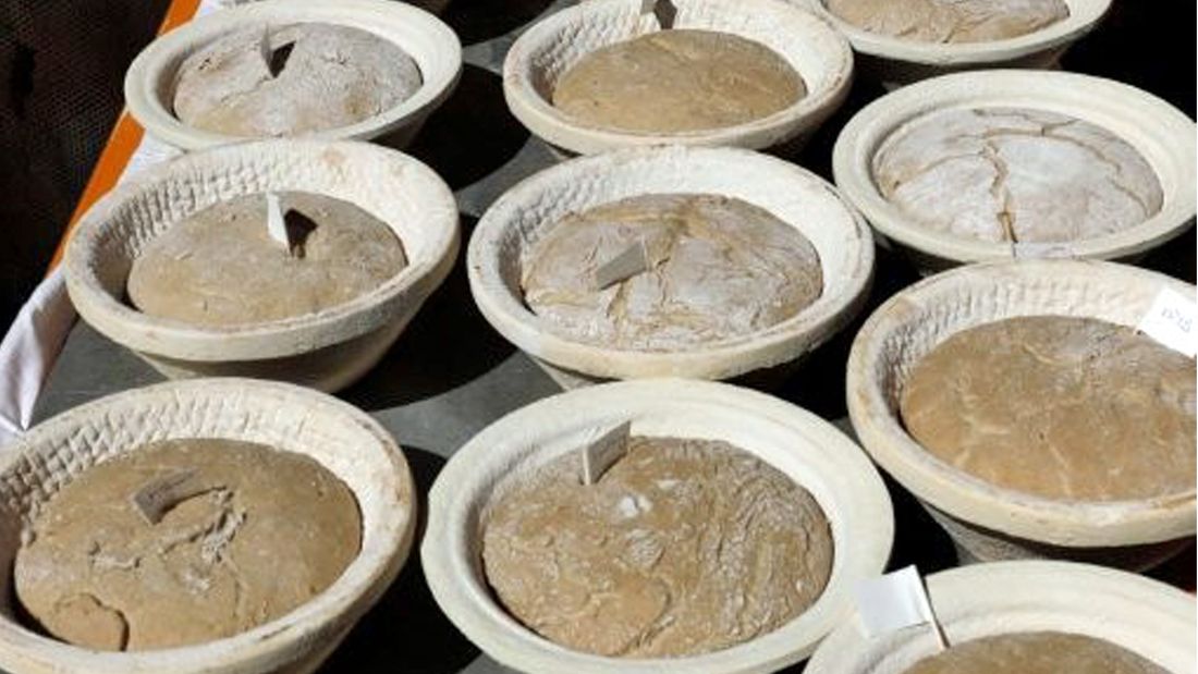 Brotbackkurs mit Wolfgang Grösch