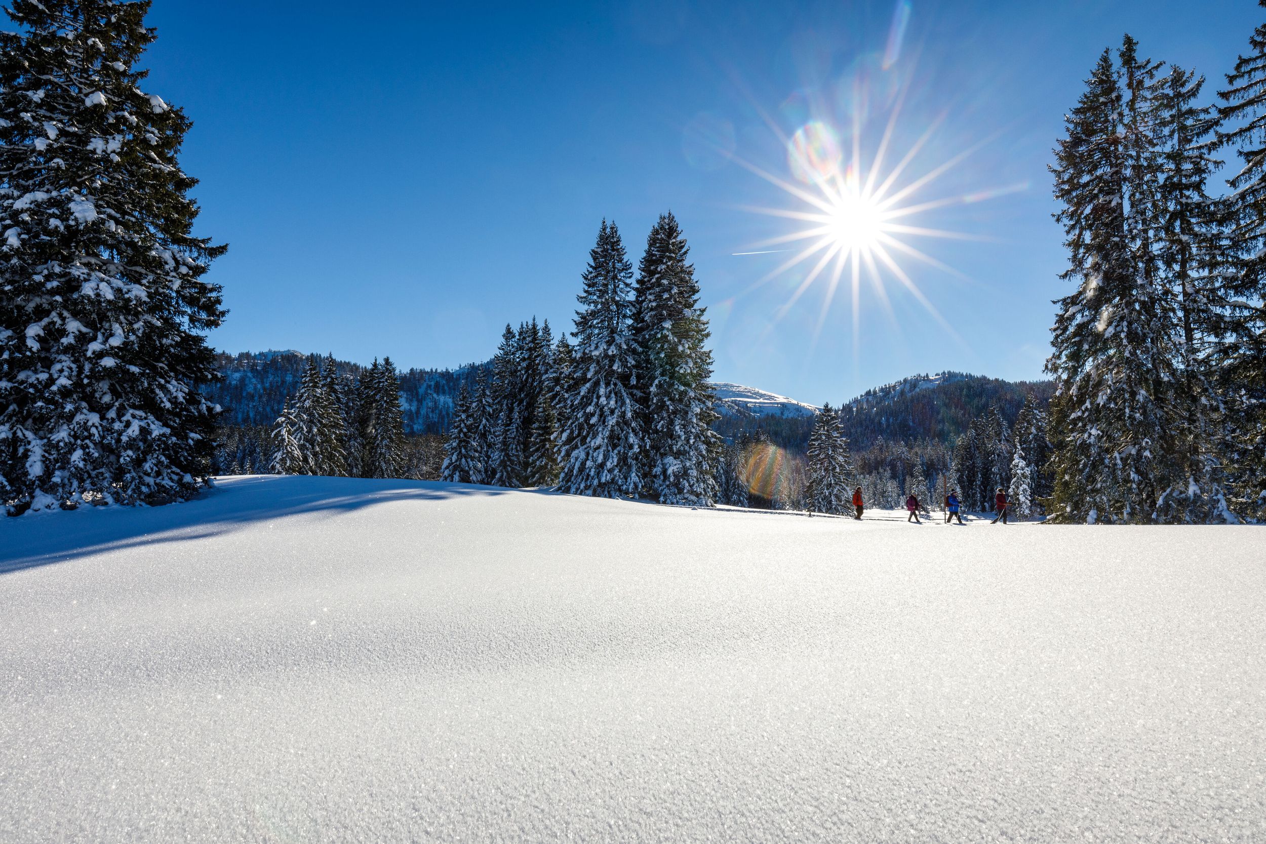 Winter hike on the Hemmersuppenalm