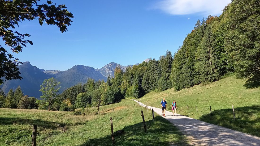 Wanderweg zur Chiemhauser Alm
