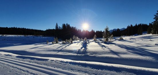 Winterlandschaft mit Loipe Winklmoos-Alm