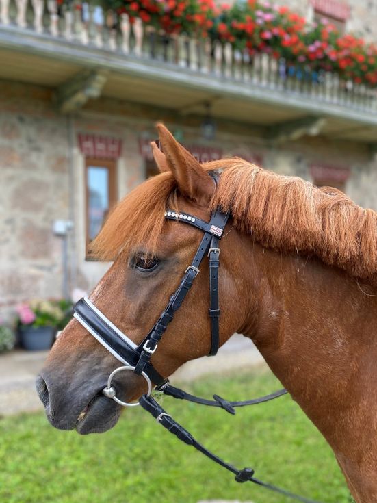 foto-ponyreiten_1