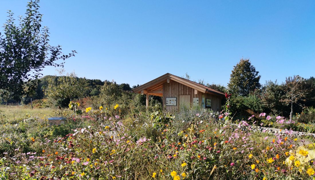 Bienenlehrstand-am-Hilgerhof