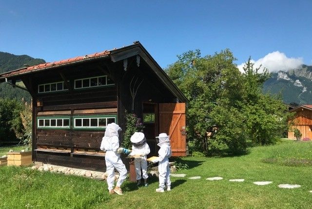 Bienenhaus Lohei BEARBEITET