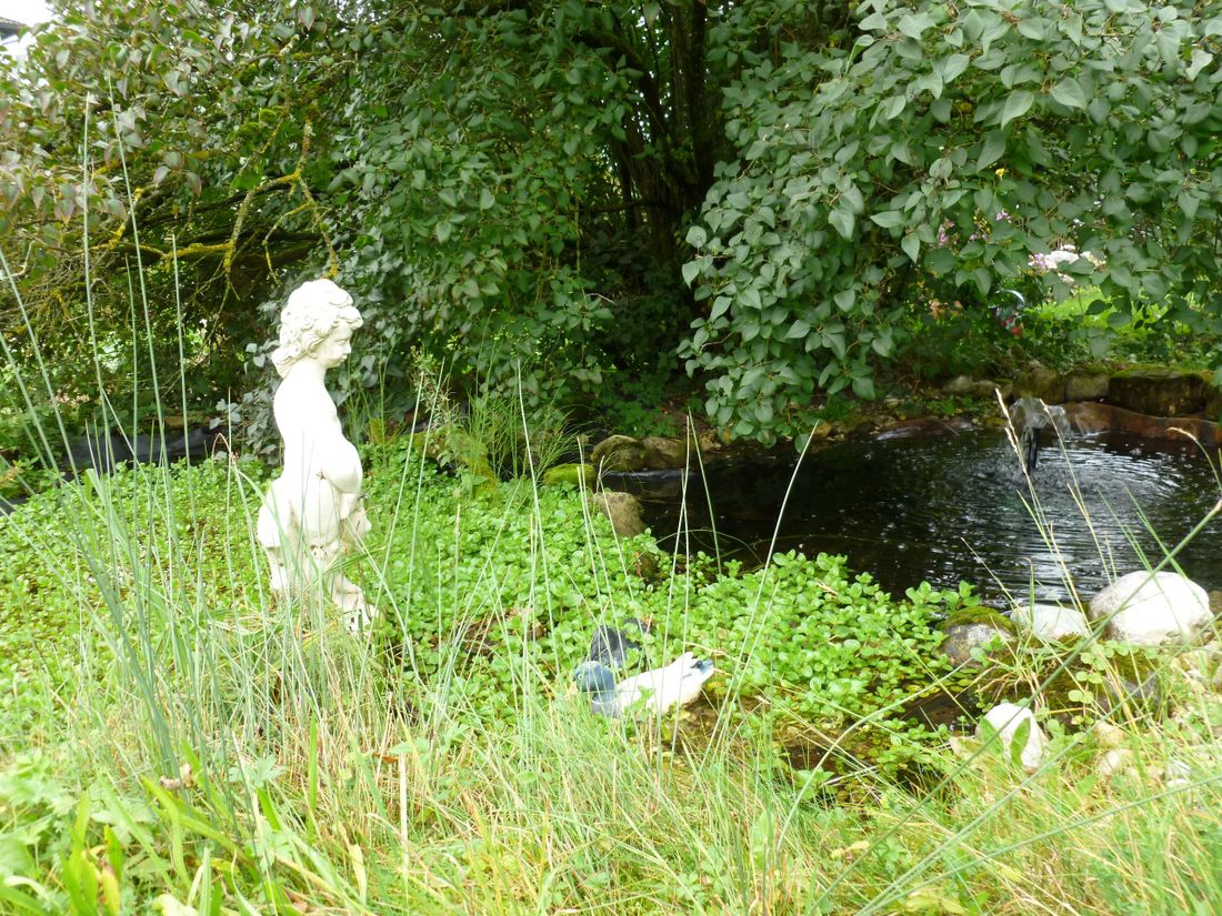 Am Teich