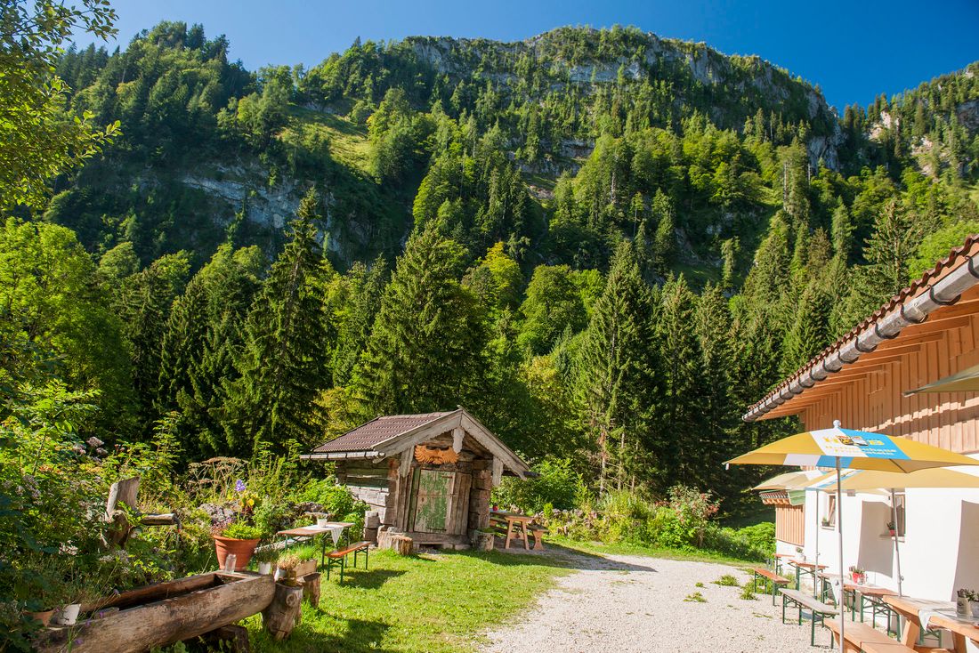 Nesslaueralm