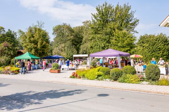 dorfmarkt-2017_bild-1671a_wolga_medres