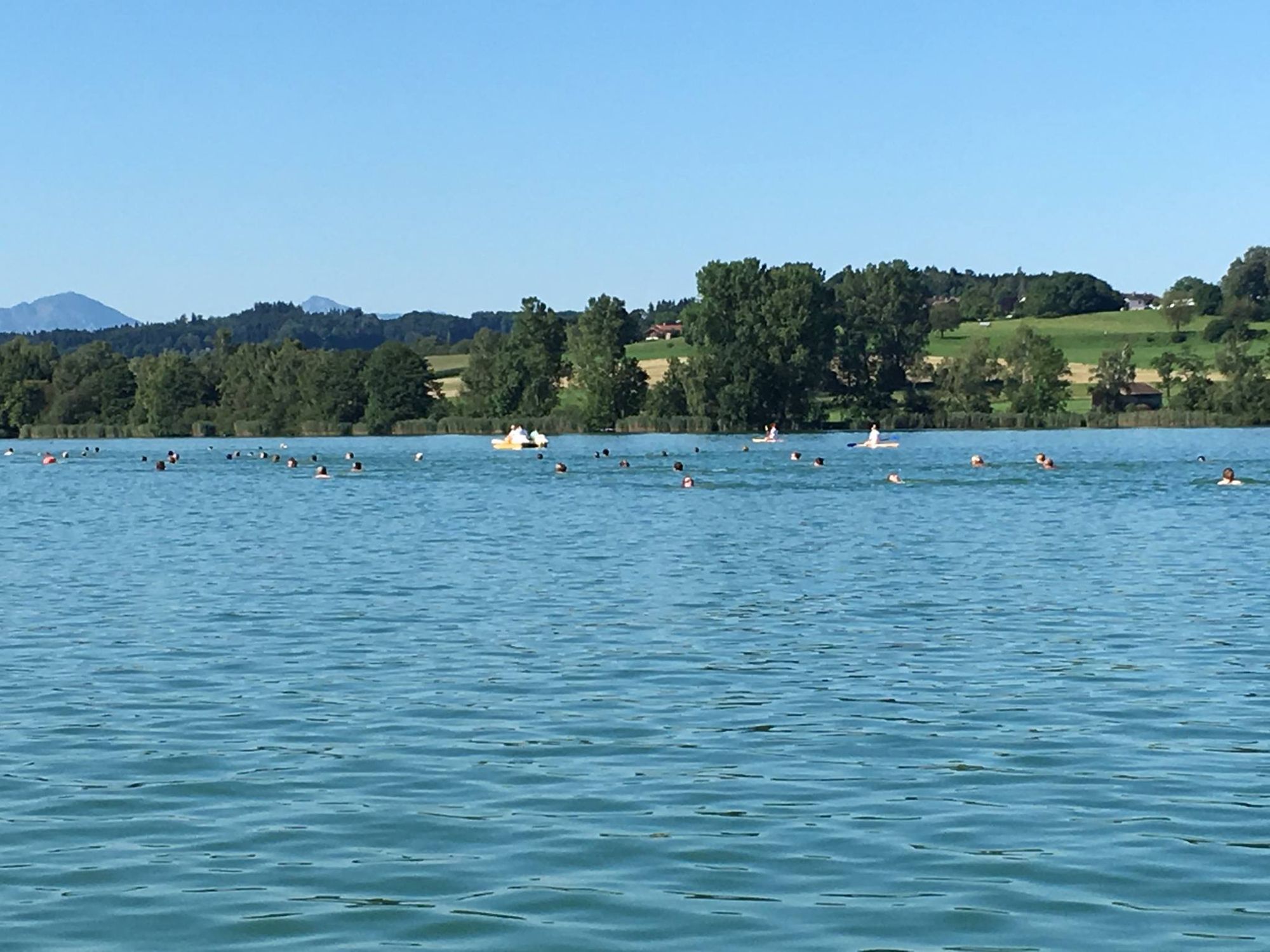Volksschwimmen Tachinger See