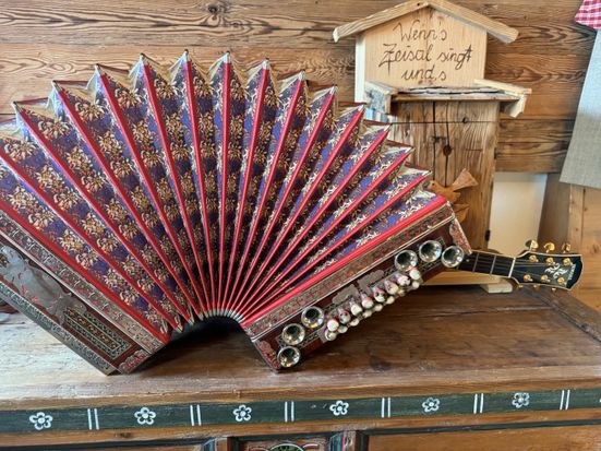 Akordeon. Claudia Nonis