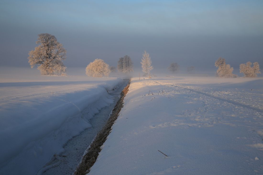 Grabenstätter Moos im Winter