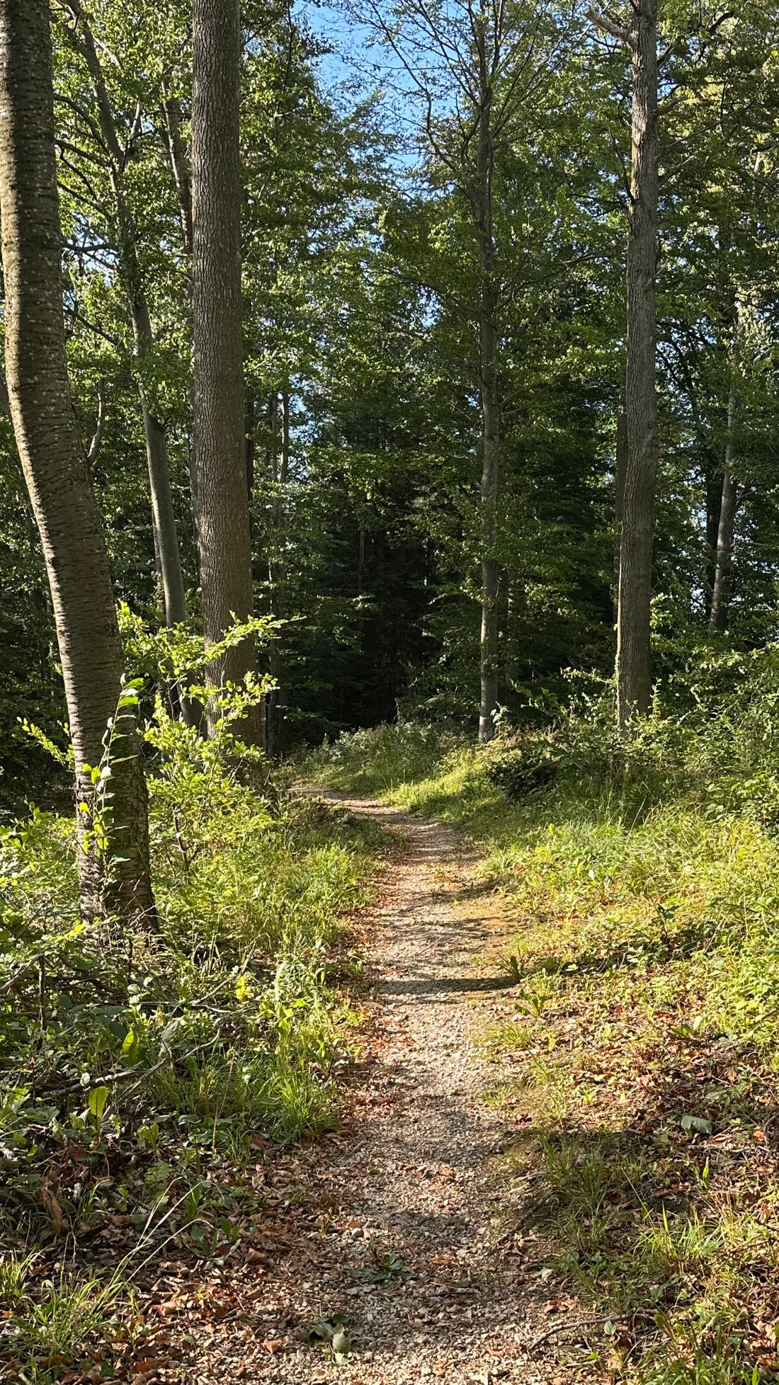 Wanderweg