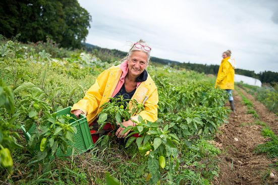 Girls'Day bei der SoLaWi Chiemgau