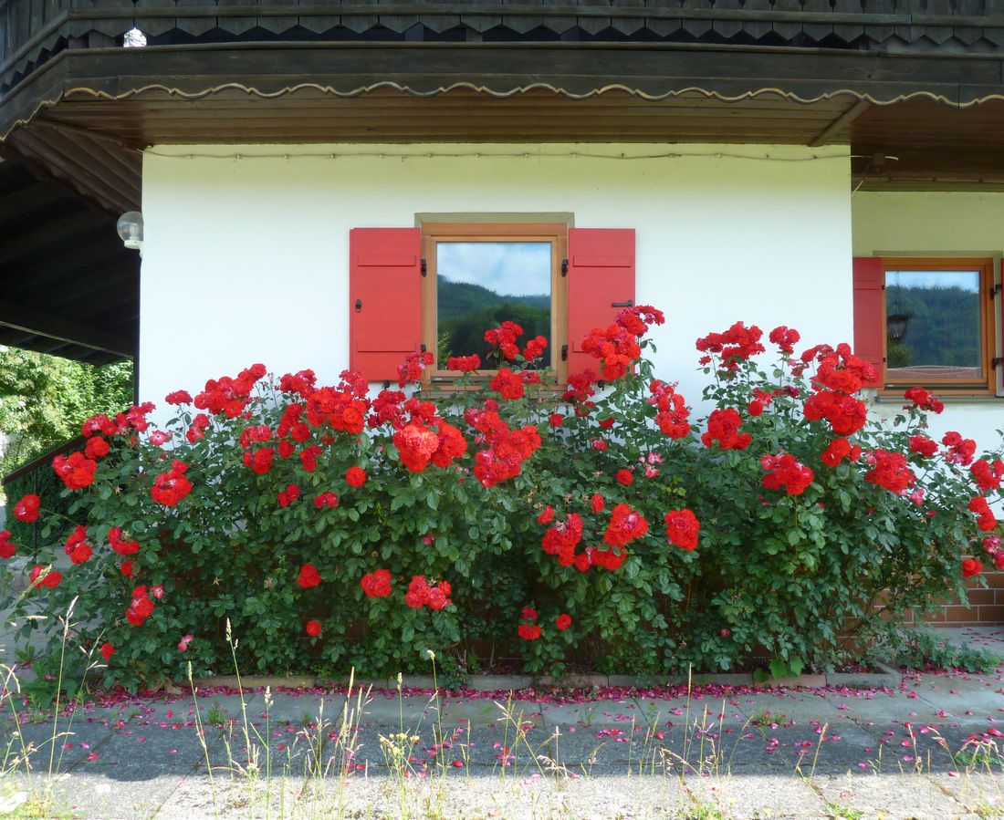 Haus an der Kräuterwiese