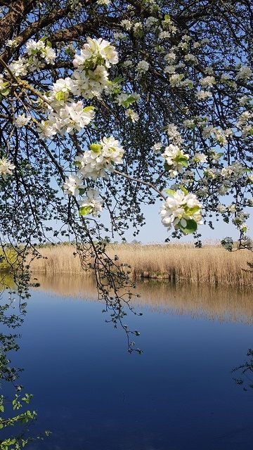 Blick in die Weite