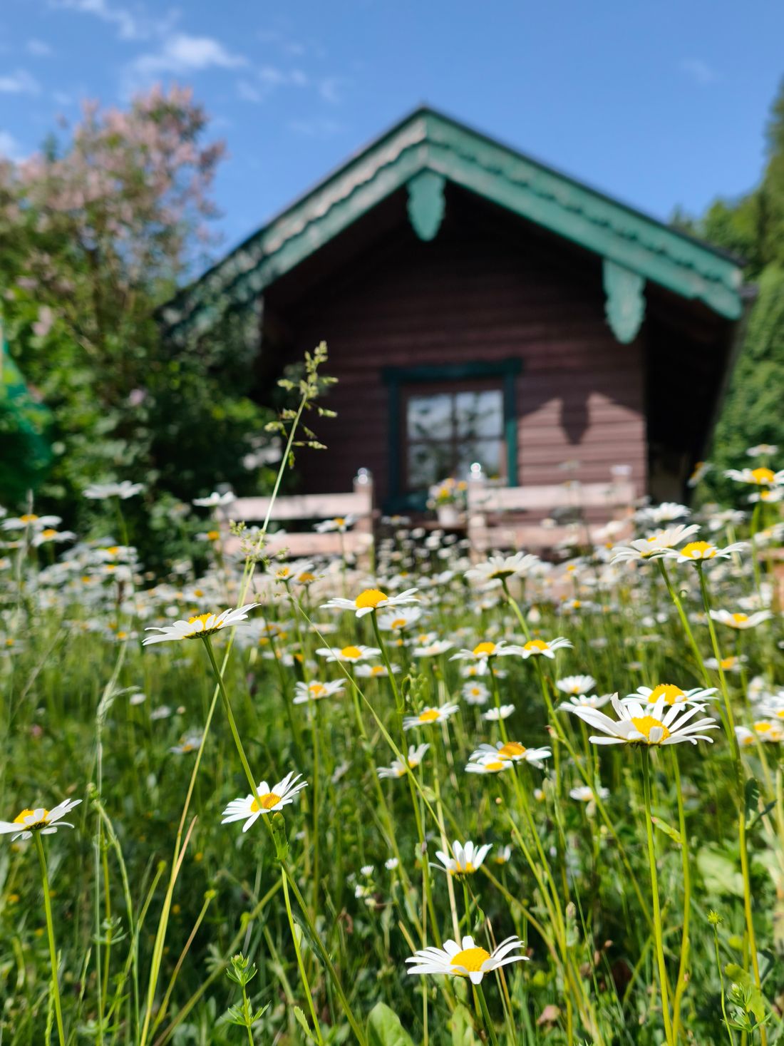 Hütte im Frühling