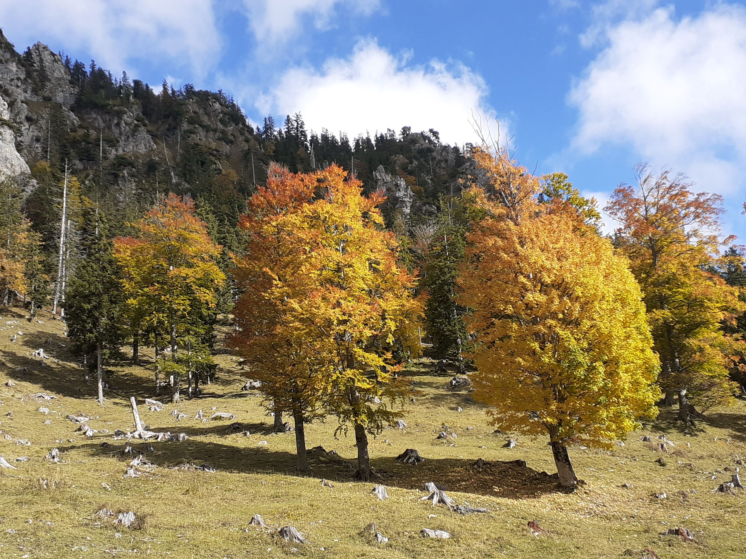 Herbststimmung in den Bergen