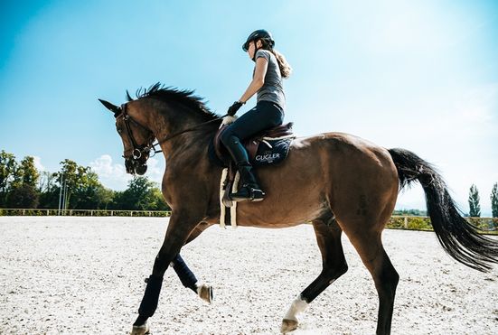 reiturlaub-am-chiemsee-chiemgau-tourismus-ev-26_800x600