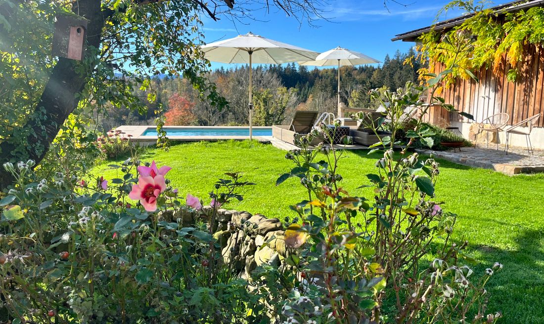 Blick auf Pool  vom Ferienhaus