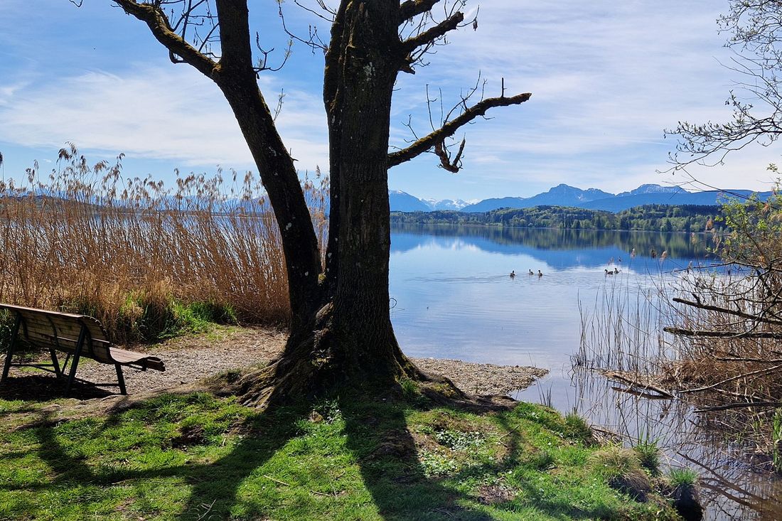 Frühling privater Strand am Waginger See für unsere Gäste