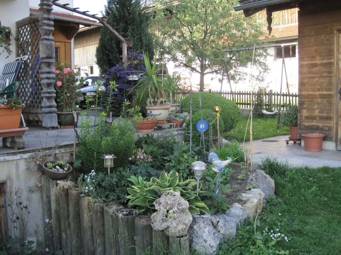 Pflanzen im Garten