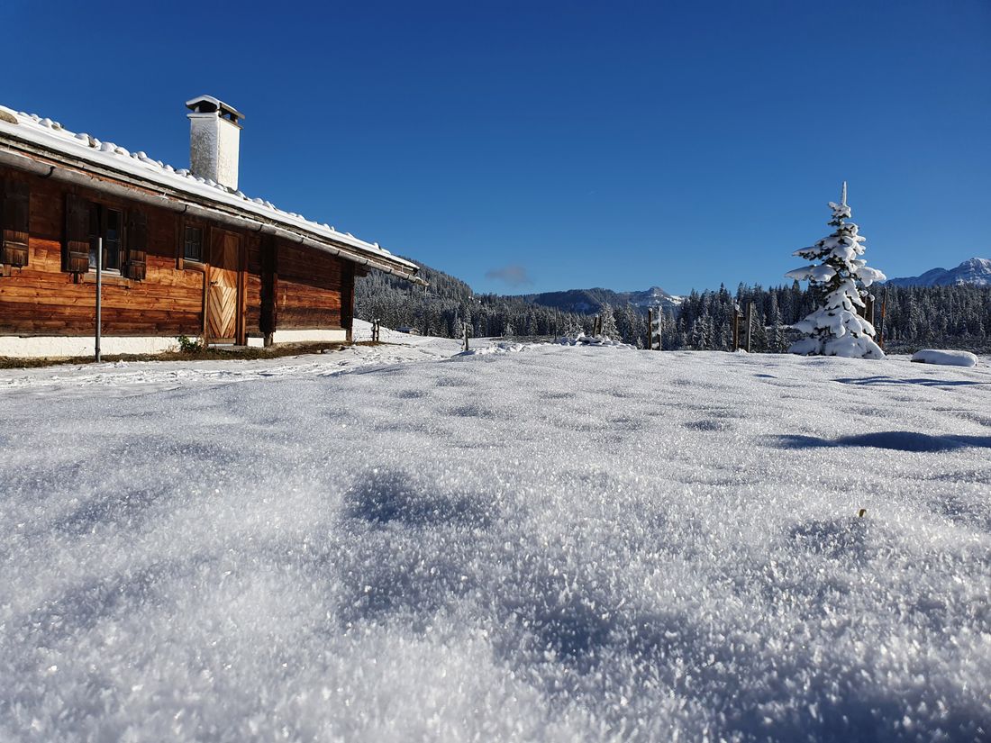 Winklmoos - Alm im Winter