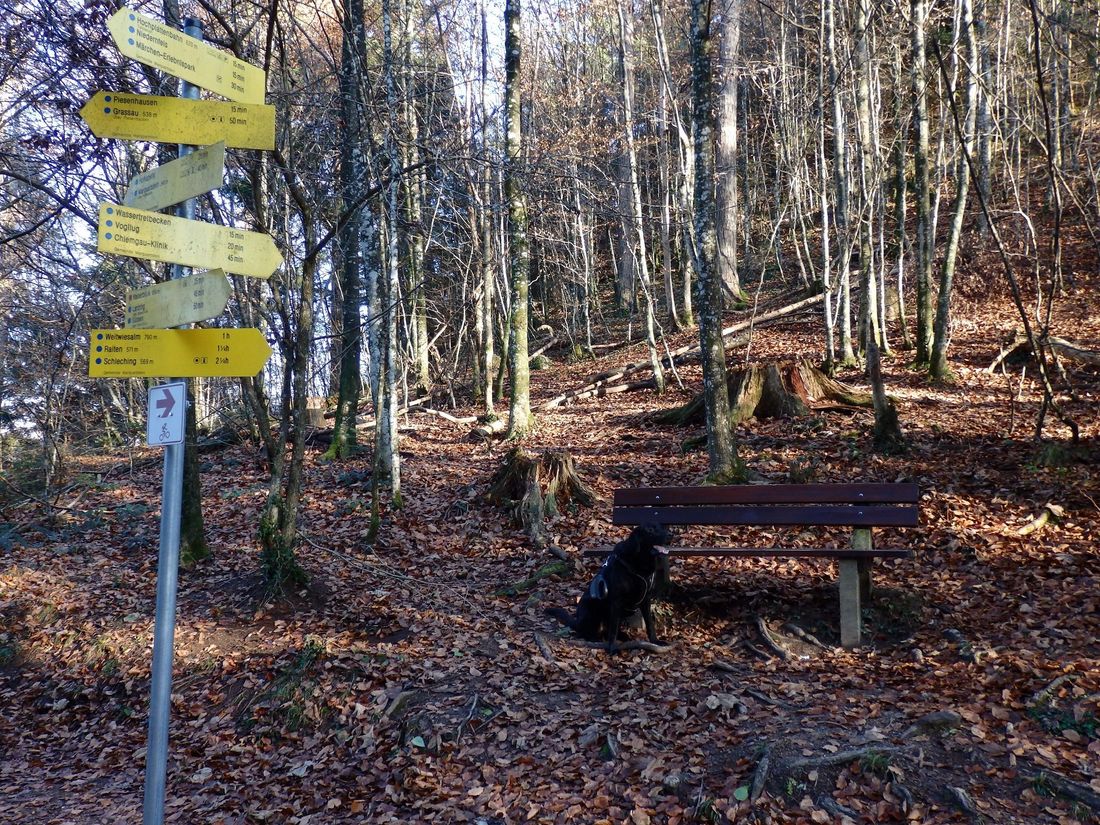 Wanderwegweiser