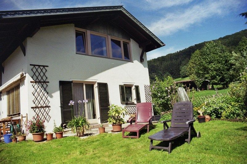 Garten im Sommer