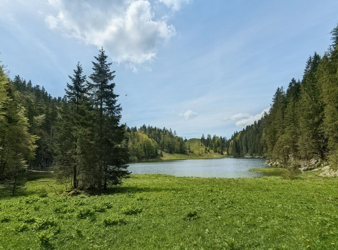 Am Taubensee