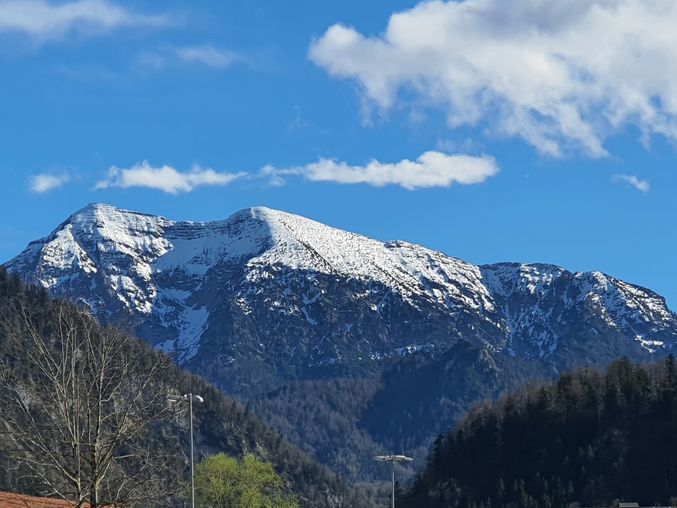 Blick von Terasse