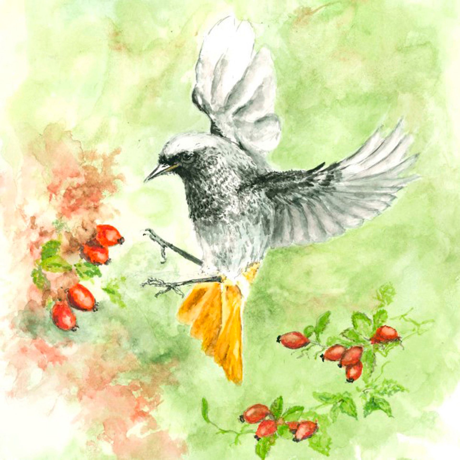 Aquarell-Ausstellung "Vogel des Jahres"