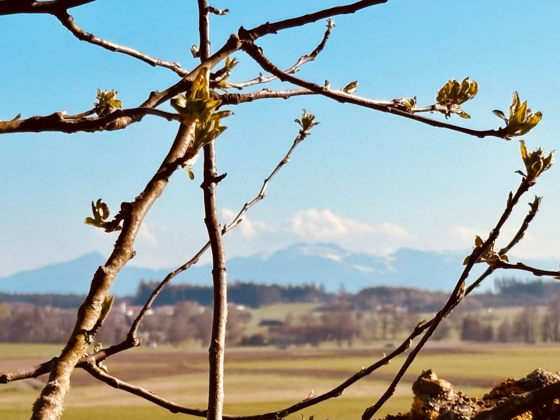 Panoramablick