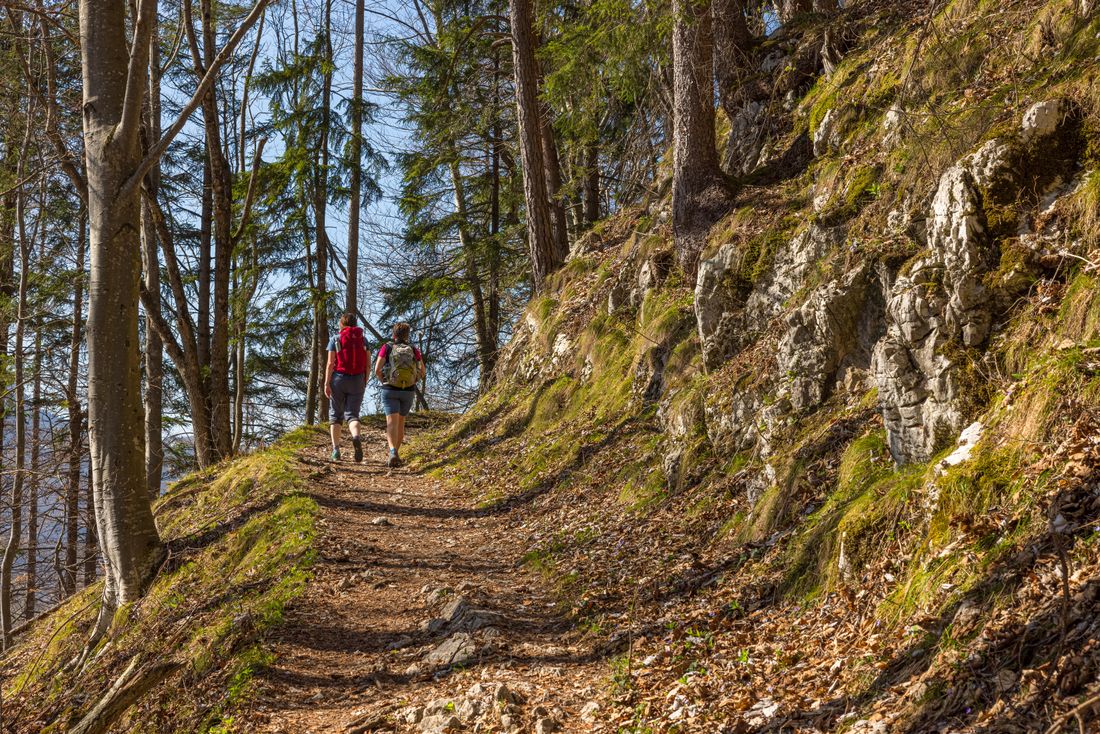 Wanderweg zur/von Schnappenkirche