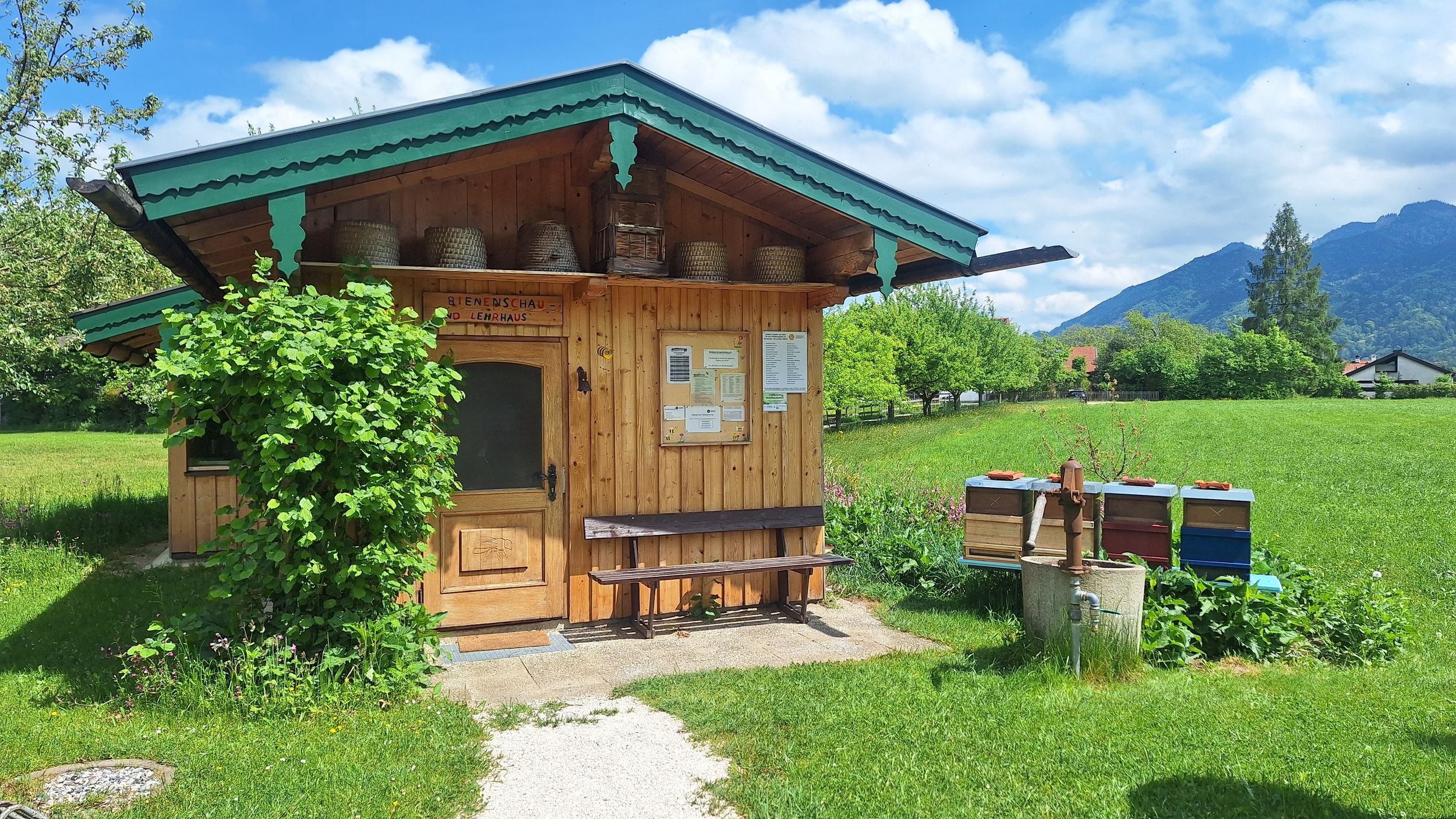 Besichtigung am Bienenschauhaus