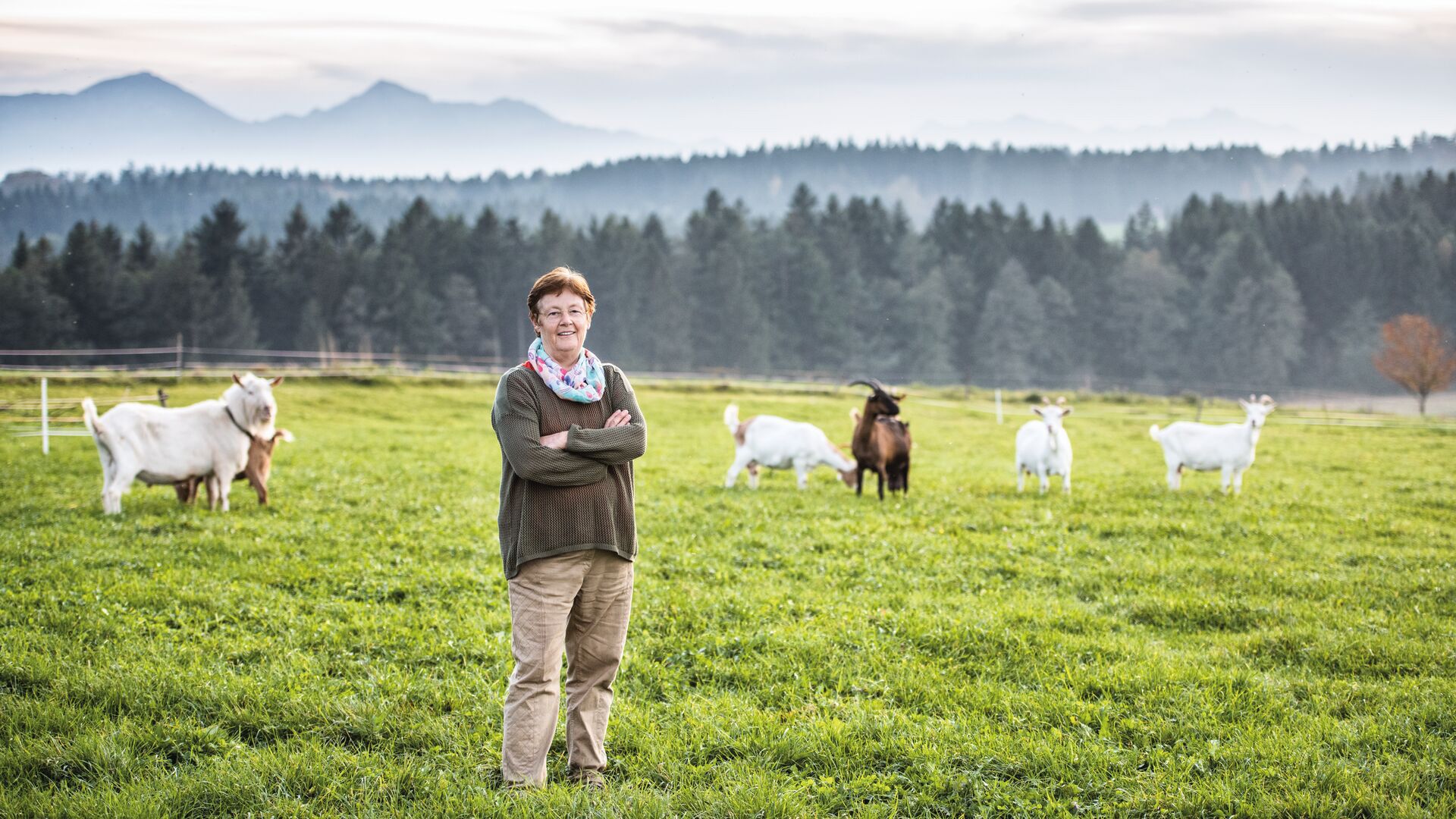 Bei der Ziegenkäserei