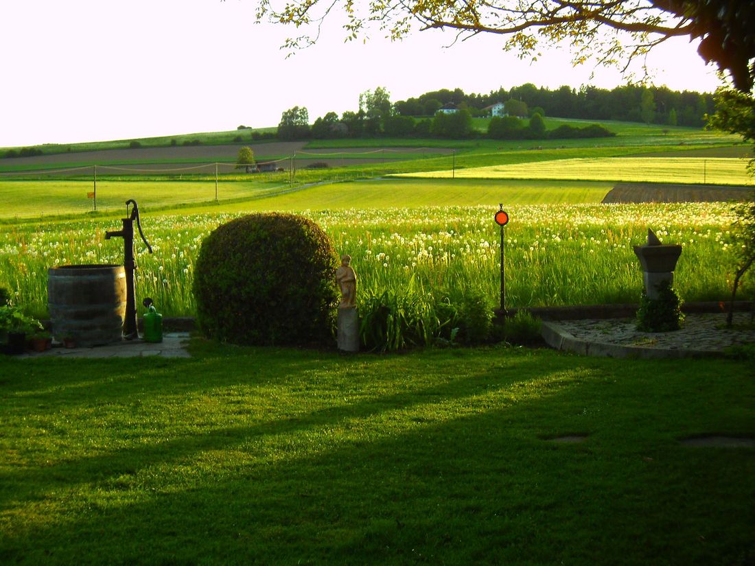 Ausblick