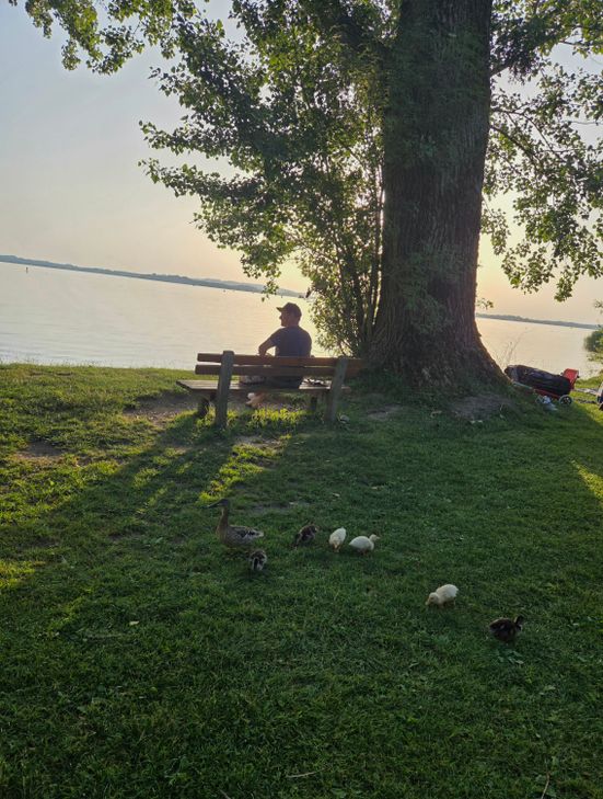 Ausflug zum Chiemsee