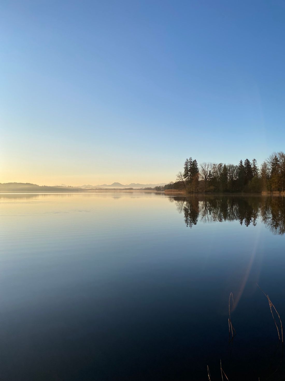Waginger See am Morgen