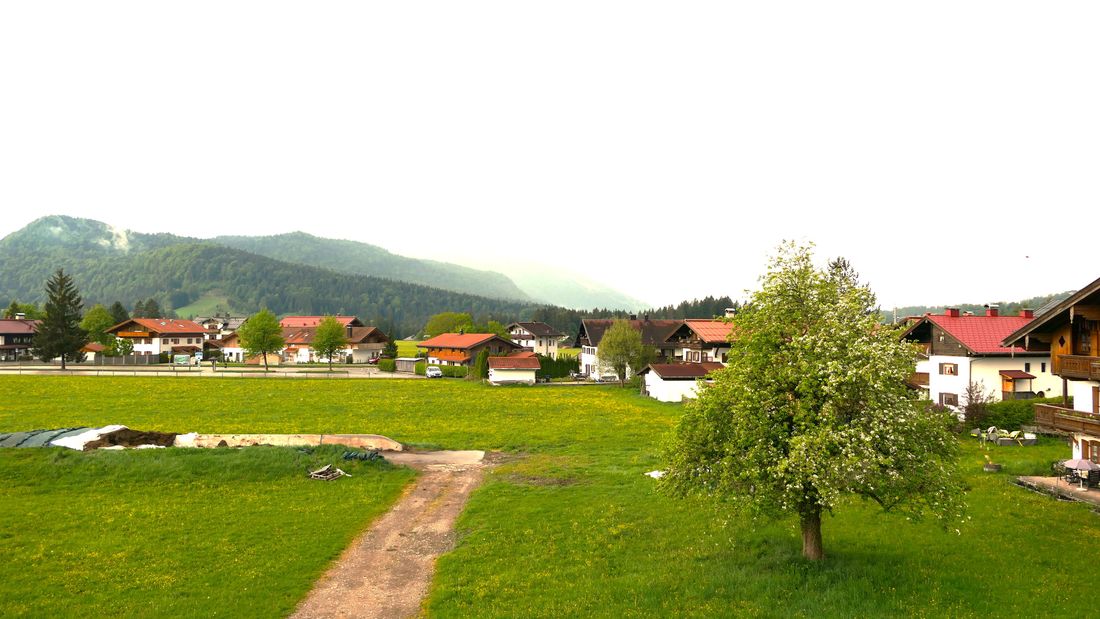 VJZ