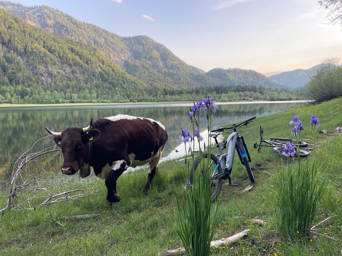 Radtour an den Mittersee in Ruhpolding