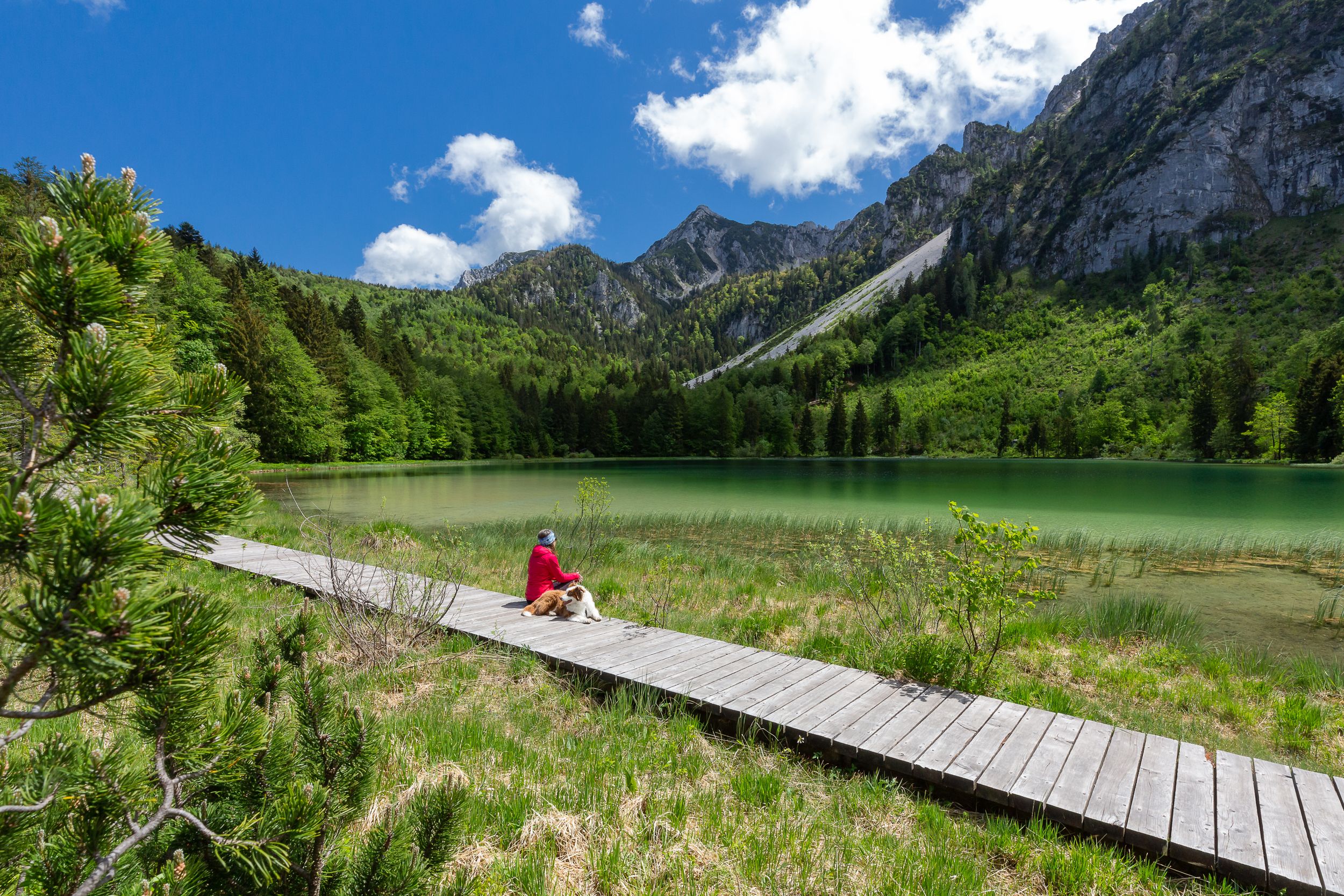 Sommer am Inzeller Frillensee