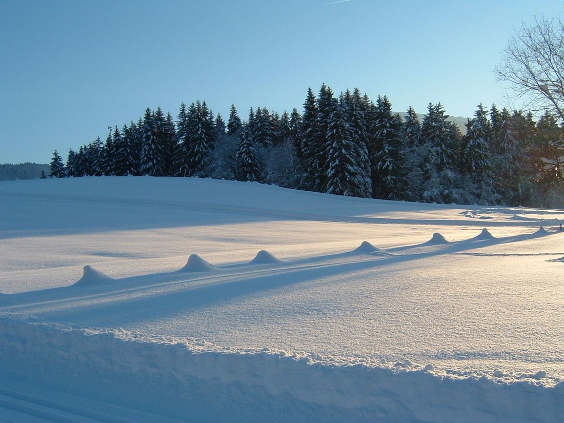 Fotowettbewerb Sonne und Schnee