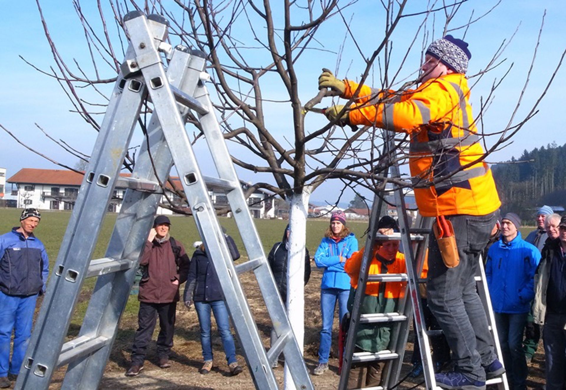 Obstbaumschnittkurs