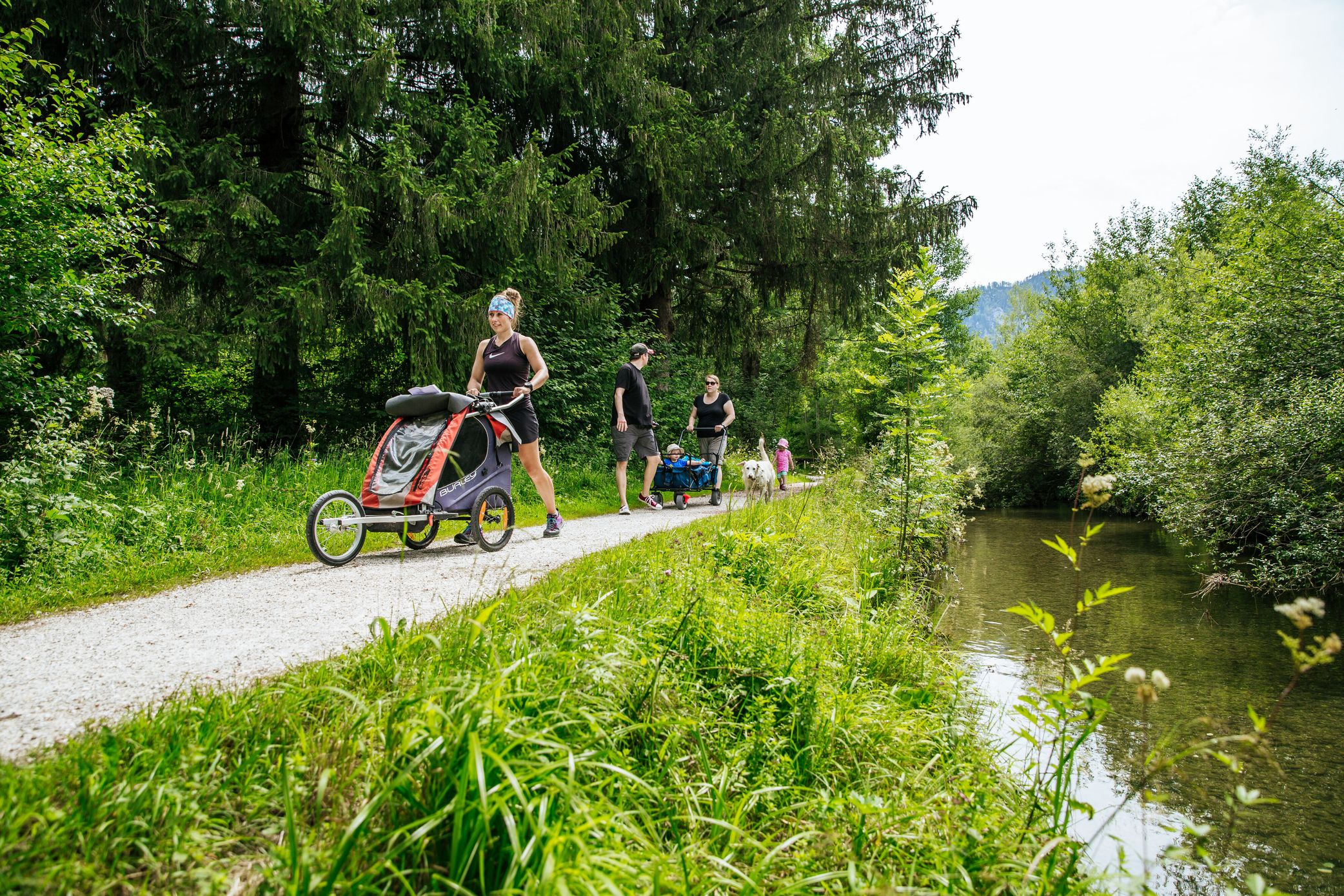 Familien wandert mit Kinderwagen