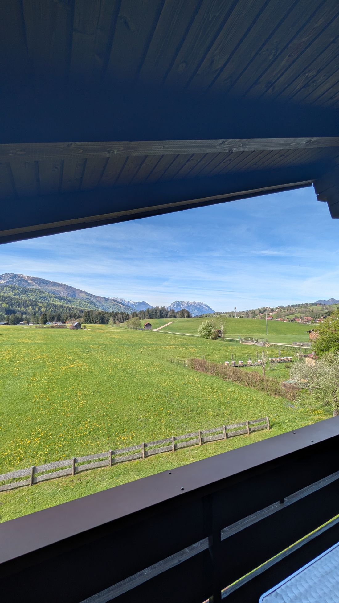 Ausblick Balkon 1