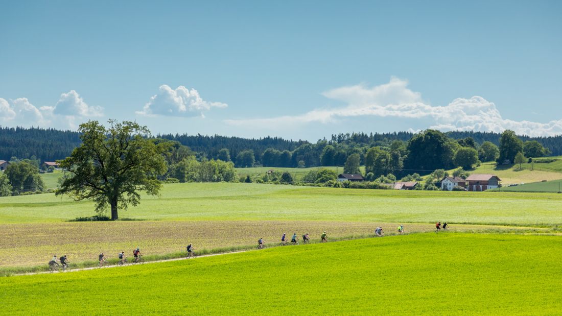 Waginger See Genusswochen