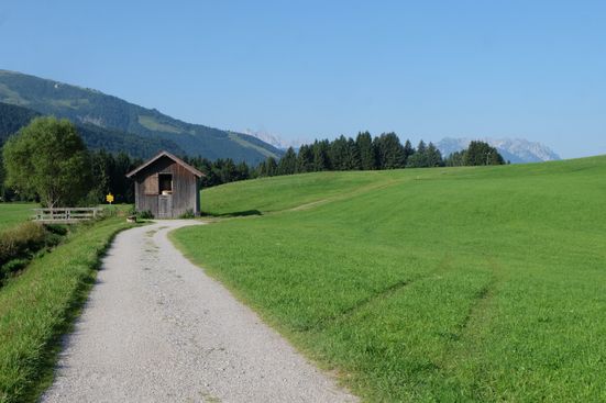 Blick auf Unterberg und das Kaisergebirge