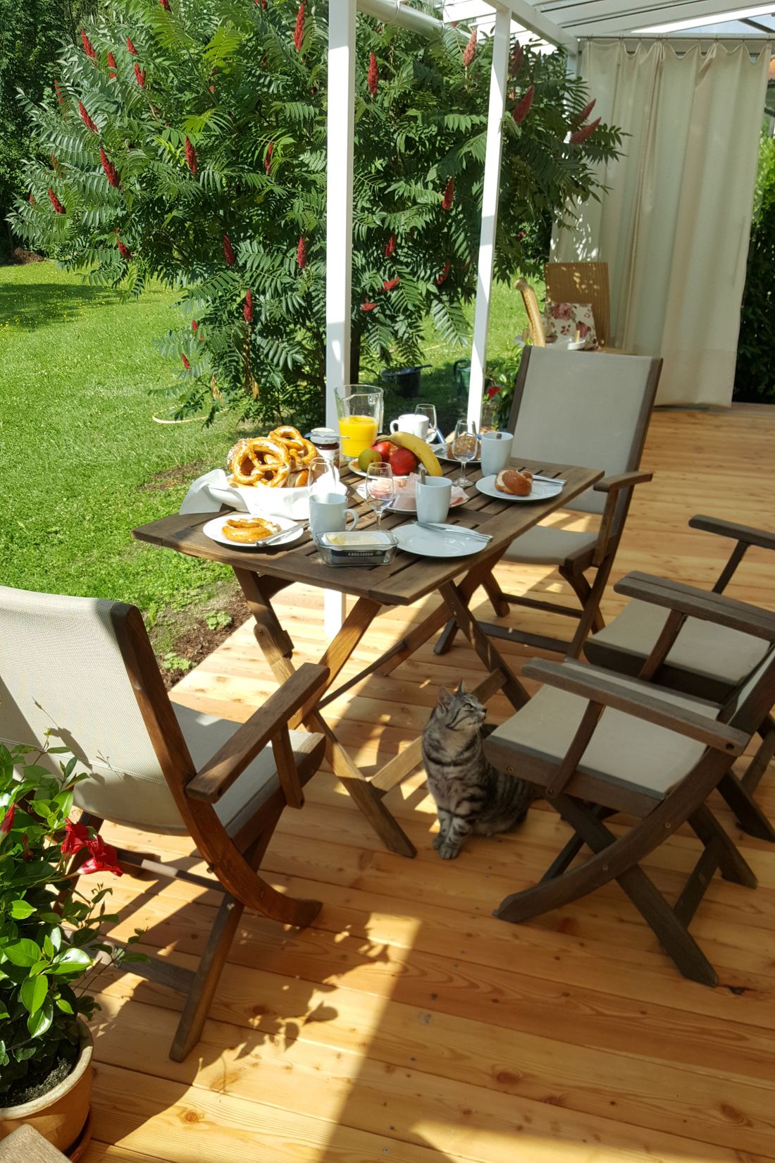 Blick vom Wintergarten auf den Garten